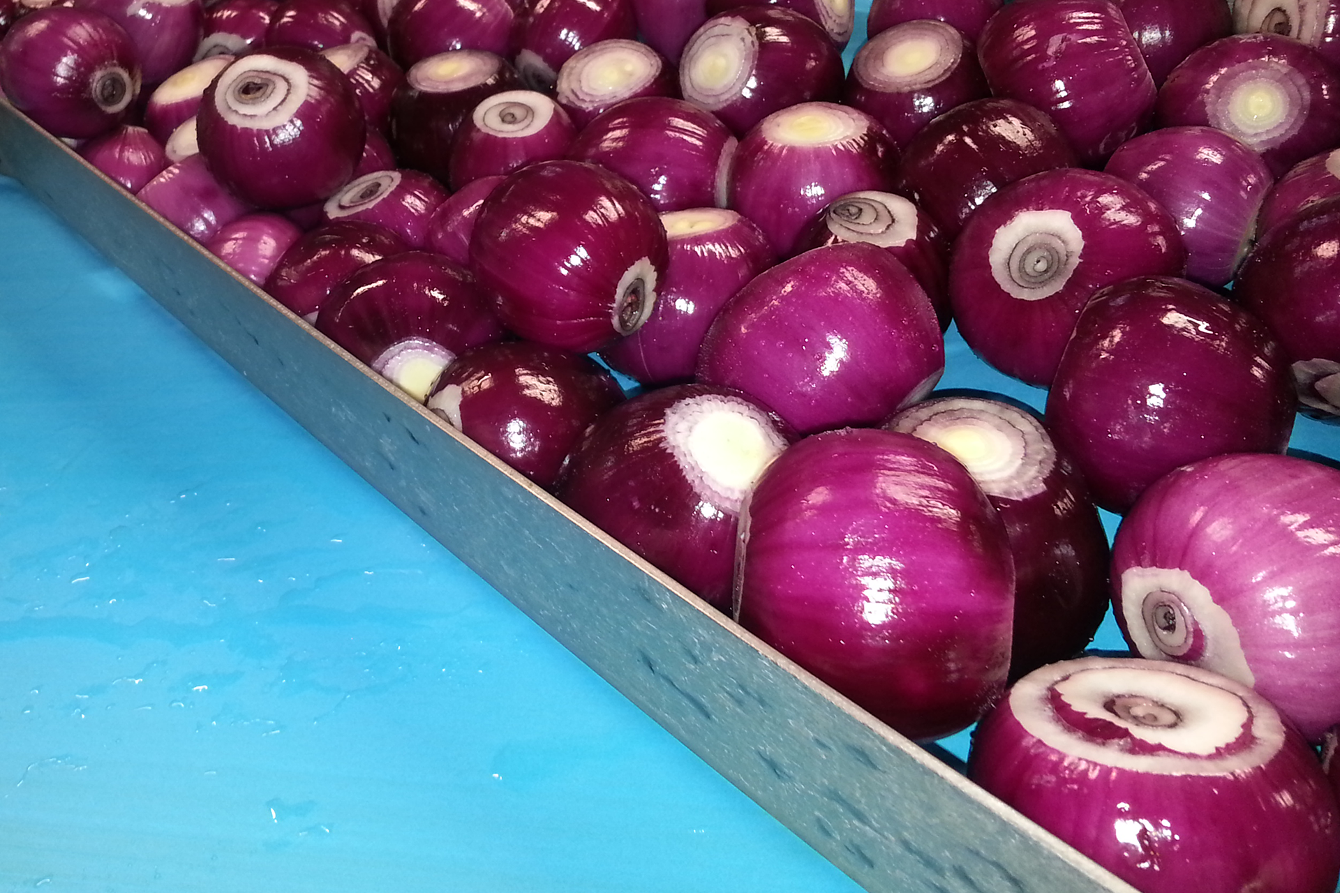 Поліуретанові харчові стрічки великої товщини
