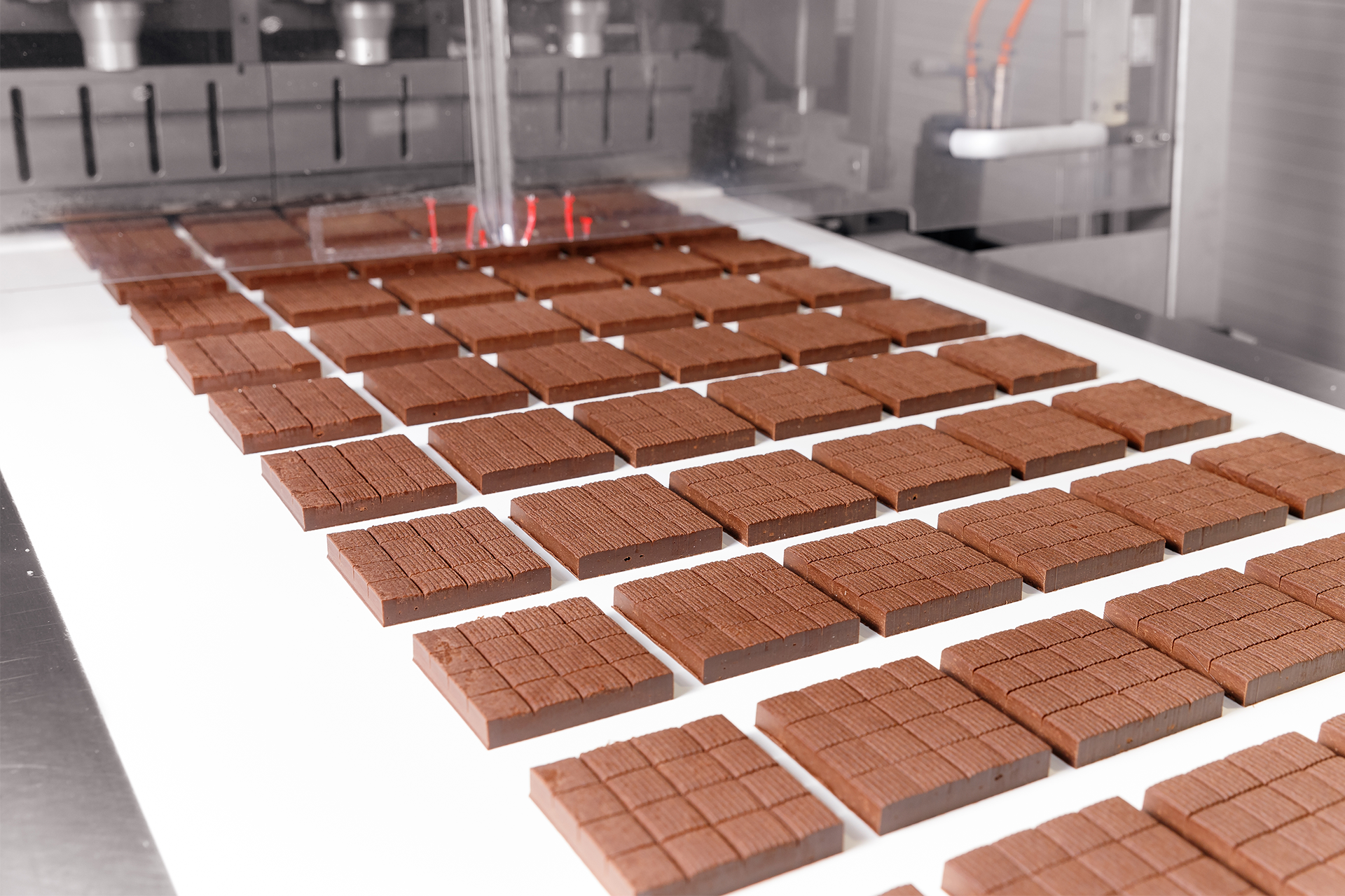 Поліолефінові (TPO) конвеєрні та технологічні стрічки з високими антипригарними властивостями