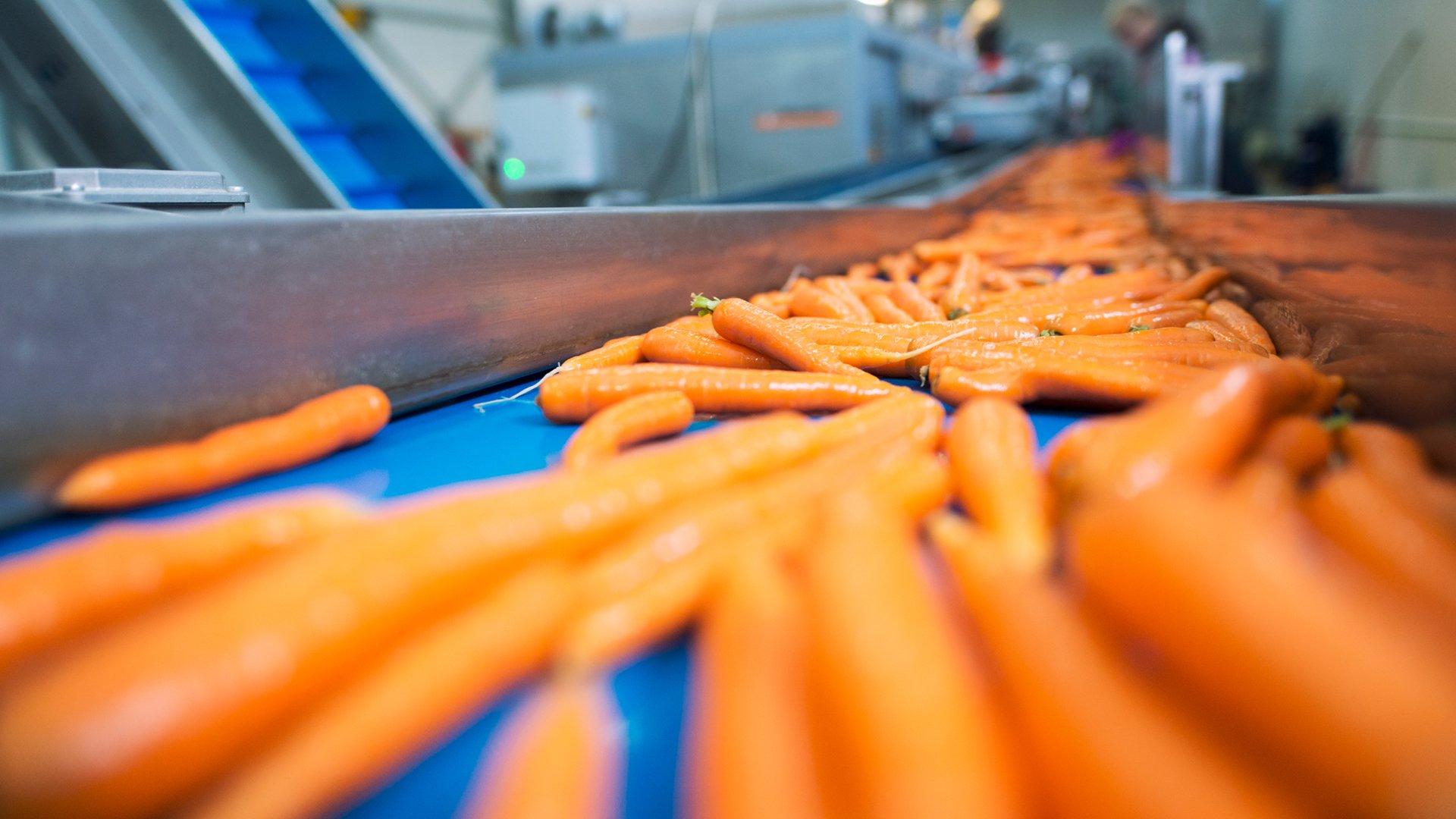 Фрукти та овочі