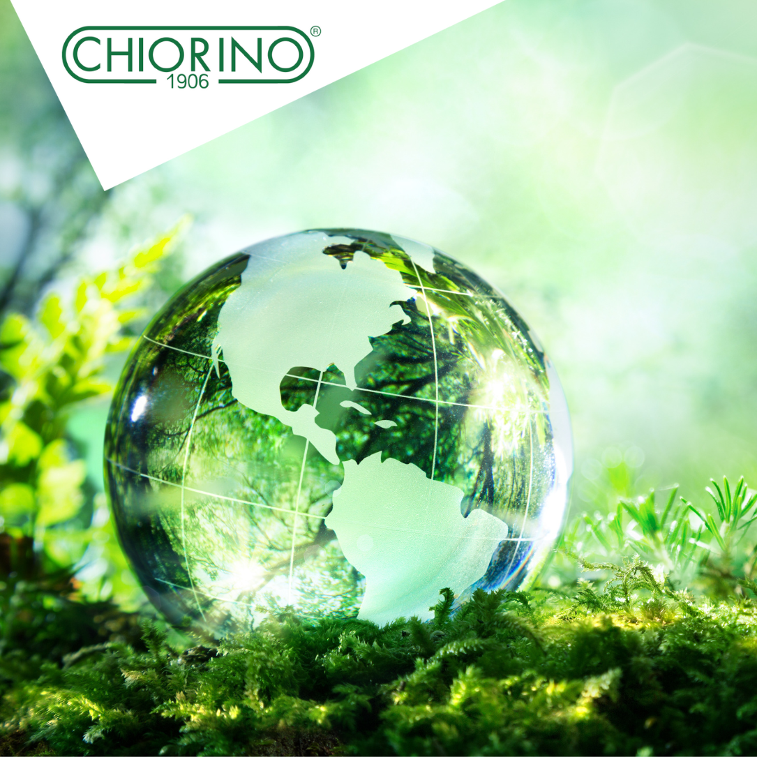 Еволюція сталого розвитку стрічок