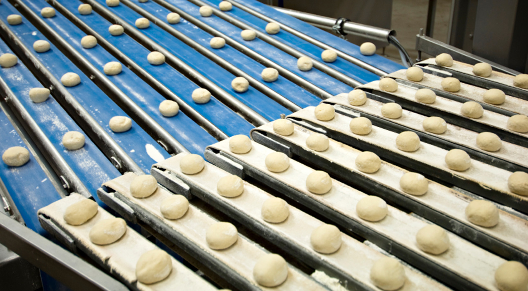 Конвеєрна стрічка для хлібопекарського виробництва → як вибрати правильно